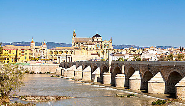 罗马桥,著名,背影,科多巴,安达卢西亚,西班牙,欧洲