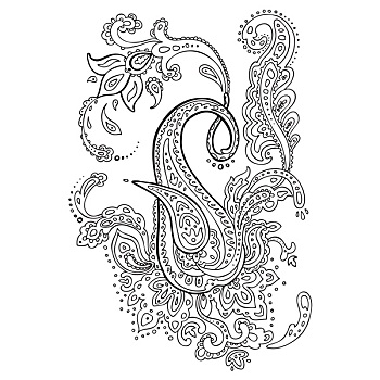 佩斯利螺旋花纹,种族,装饰