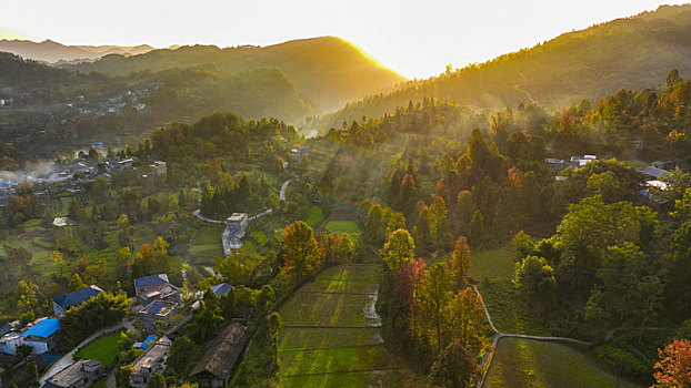 重庆酉阳,乡村初冬,枫,景如画