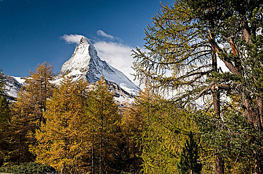 山,马塔角,秋色,落叶松属植物,策马特峰,瑞士,欧洲