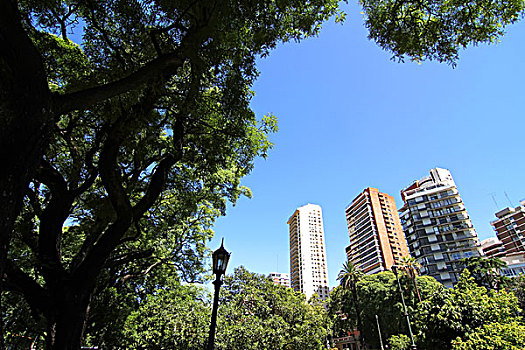 广场,布宜诺斯艾利斯