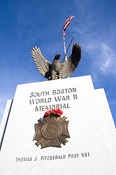 仰视,纪念,南,波士顿,二战,爱尔兰