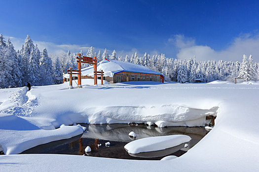 雪山深处有人家