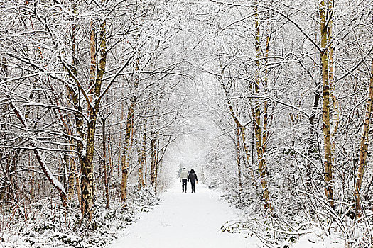 英格兰,兰开夏郡,牵手,积雪,小路,树