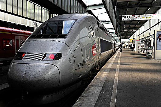 高速火车,法国,高,速度,斯图加特,巴黎,服务,中央车站,巴登符腾堡,德国,欧洲