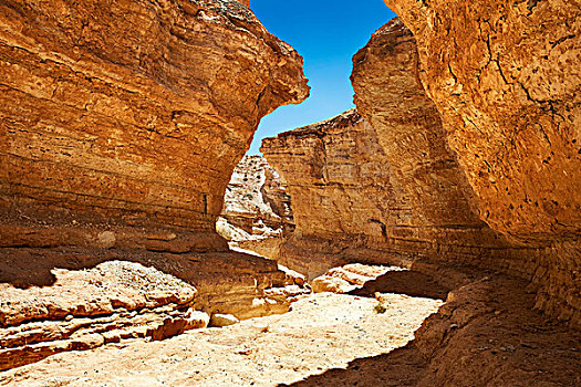 峡谷,靠近,绿洲,撒哈拉沙漠,突尼斯,非洲