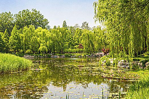 中国,北京,城市,颐和园,公园