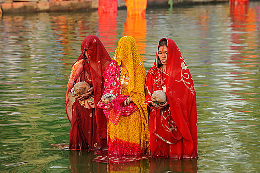 女人,穿,纱丽服,供品,站在水中,印度教,节日,新德里,德里,印度,亚洲