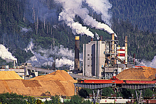 纸浆厂,港口,王子,不列颠哥伦比亚省,加拿大