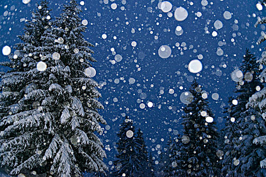 重,下雪,夜光,奥地利,欧洲