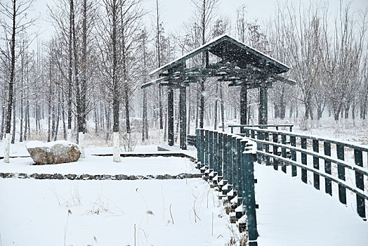 雪景