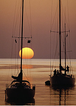 剪影,船,水上,日落,自由岛,巴哈马