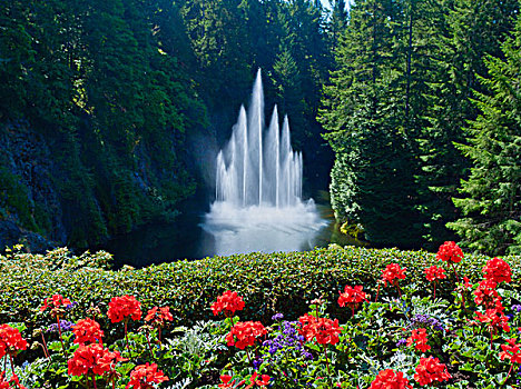 宝翠花园--罗斯喷泉