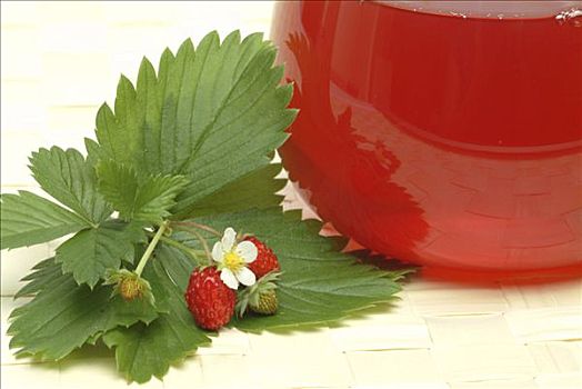 树林,草莓,野草莓,茶,药茶