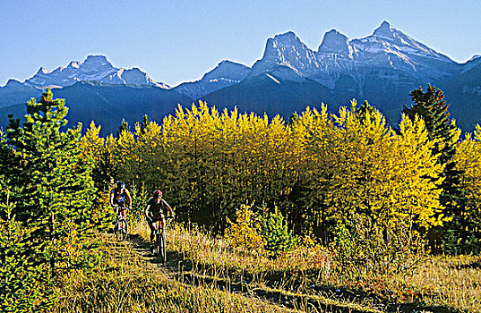 山地车手,骑,小路,艾伯塔省,加拿大
