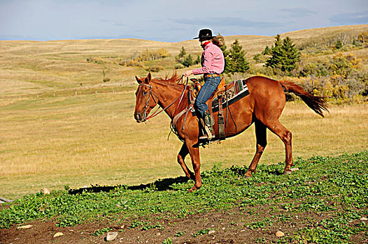 女牛仔,骑,草原,萨斯喀彻温,加拿大