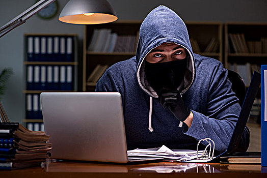 黑客,盗窃,数据,家,电脑