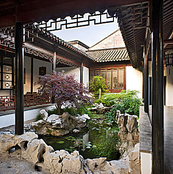 老,苏州,博物馆,宫殿,传统,中心,中国文化,中式花园,城市,著名
