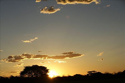 日落,埃托沙国家公园,区域,纳米比亚