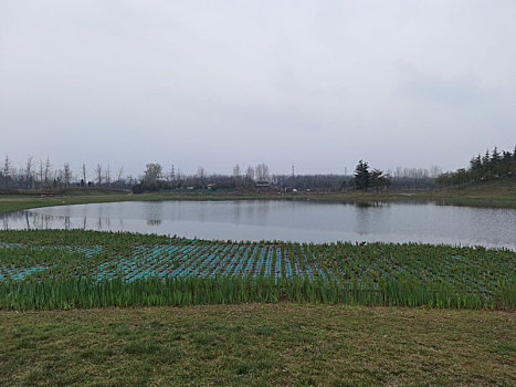 西安鹤鸣湖公园