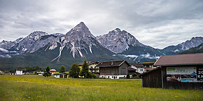 阿尔卑斯山间草场