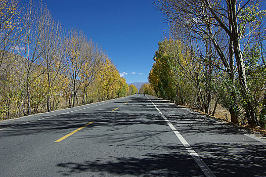 西藏青藏公路