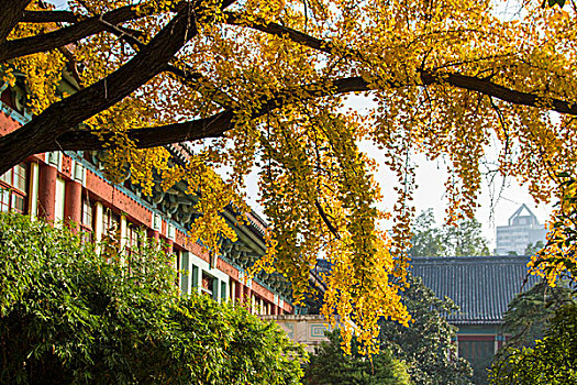 南京师范大学