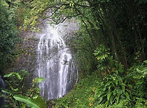 瀑布,海岸,毛伊岛,夏威夷