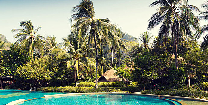 游泳池,泰国,旅游,胜地
