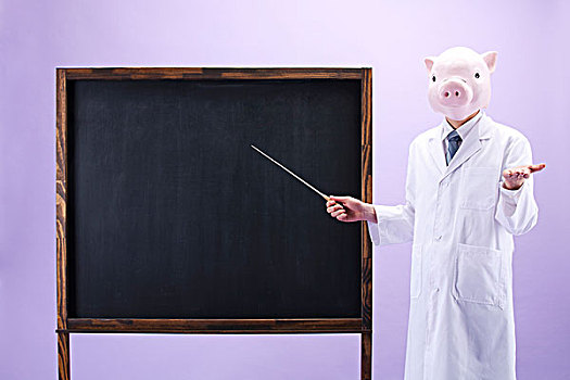 猪,头部,黑板