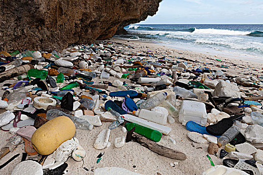 塑料制品,垃圾,洗,向上,岸边,圣诞节,岛屿,澳大利亚