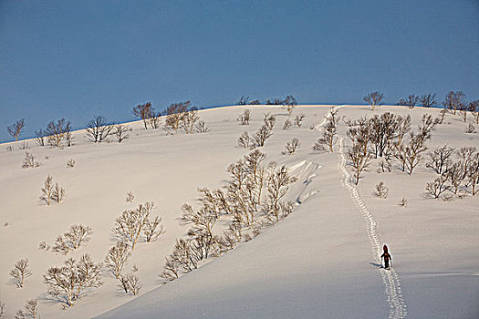 边远地区,滑雪板玩家,远足,初雪,北海道,日本