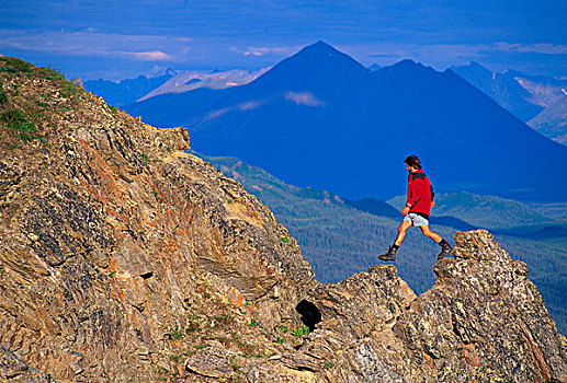 远足者,攀升,德纳里峰国家公园,阿拉斯加,美国