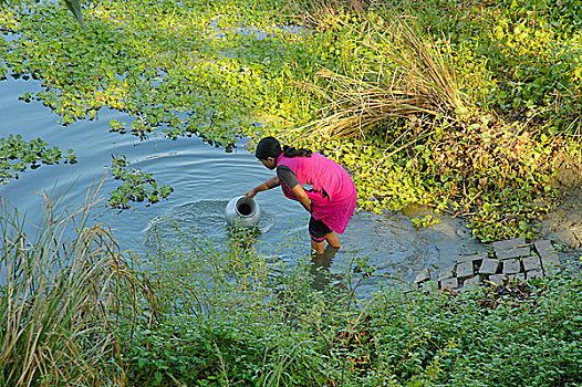 女人,水,水池,达卡,孟加拉,十一月,2007年