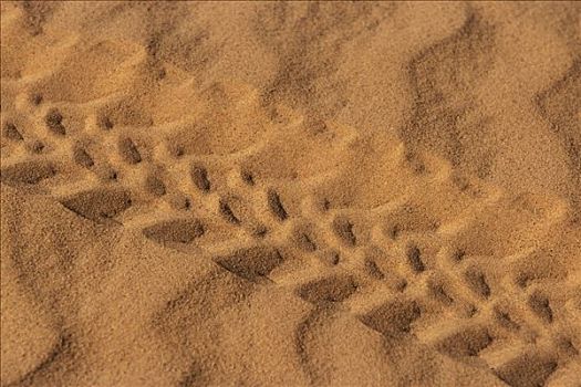 轮迹,沙子
