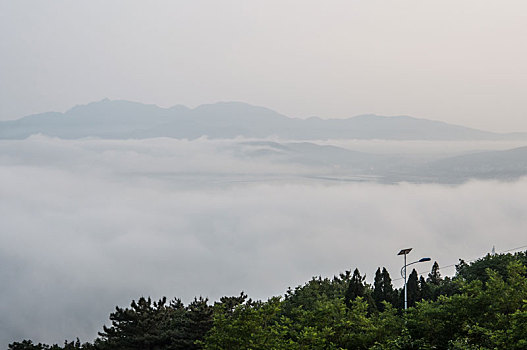 旅顺口的漂流雾