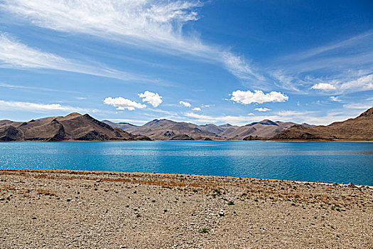 西藏,羊卓雍措,羊湖,圣湖