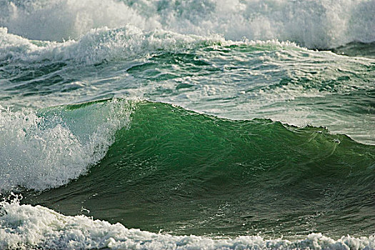 波浪,碰撞,岩石上,长滩,环太平洋国家公园,不列颠哥伦比亚省,加拿大