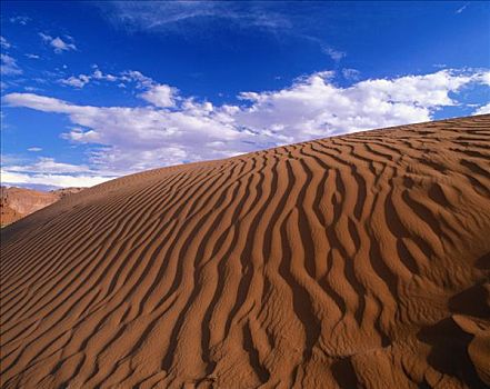 沙丘,纪念碑谷,亚利桑那,美国