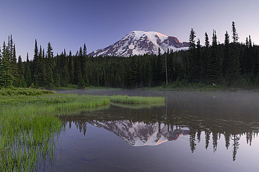 雷尼尔山,早晨,雷尼尔山国家公园,皮尔斯县,喀斯喀特山脉,美国