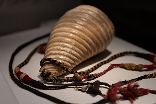 秘鲁印加博物馆藏殖民时期凤螺贝壳羊毛小号