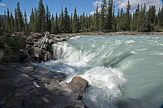 阿萨巴斯卡瀑布,艾伯塔省,加拿大