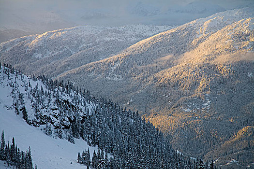 山谷,冬天,不列颠哥伦比亚省,加拿大