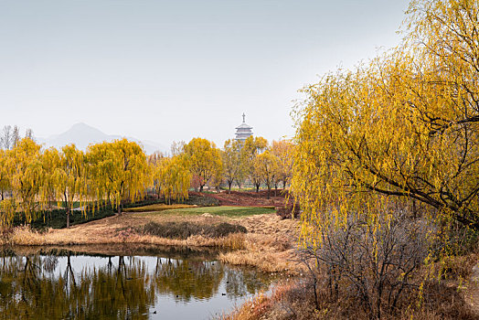 北京雁栖湖秋色