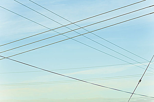 电线,上方,空中,加利福尼亚