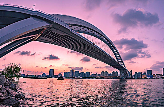 上海盧浦大橋風光