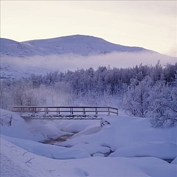 积雪,桥,树,山峦,背景