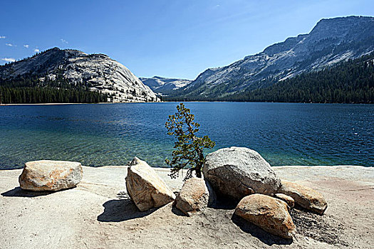 湖,优胜美地国家公园,加利福尼亚,美国,北美