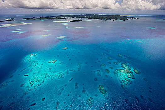航拍,珊瑚礁,太平洋,帕劳,大洋洲