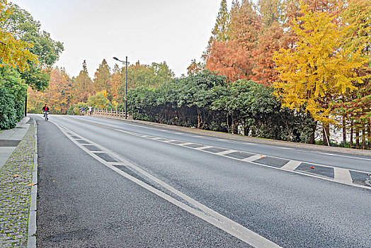 杭州杨公堤秋景